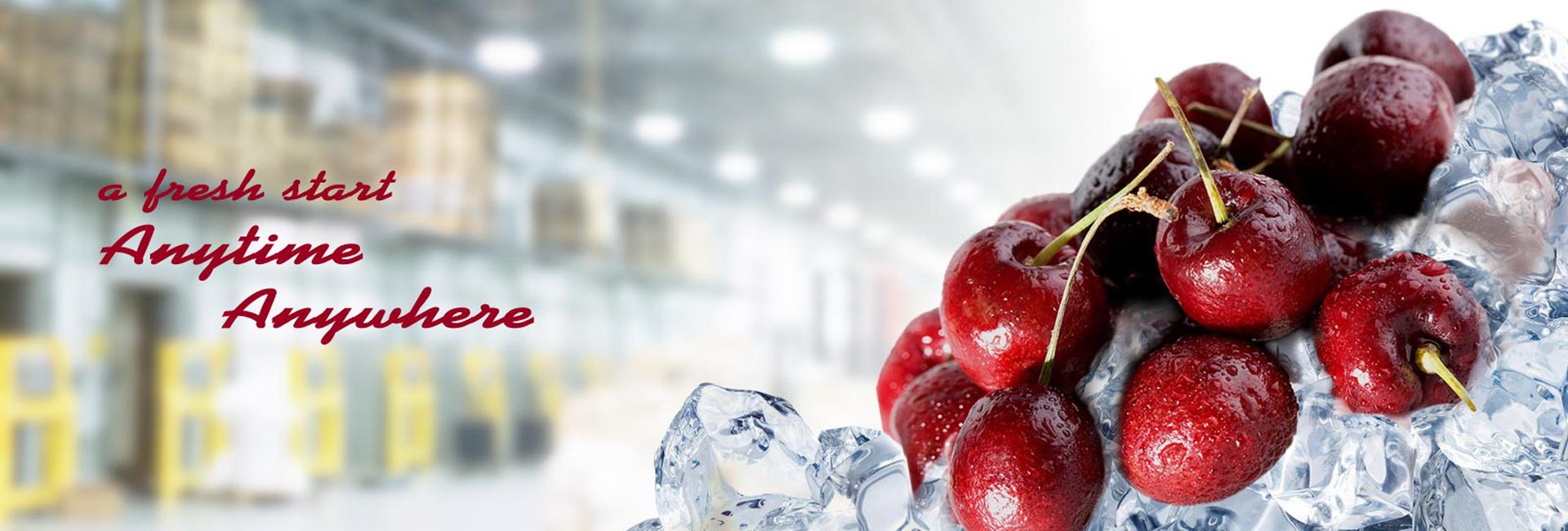 Sri Ayyanar Cold Storage